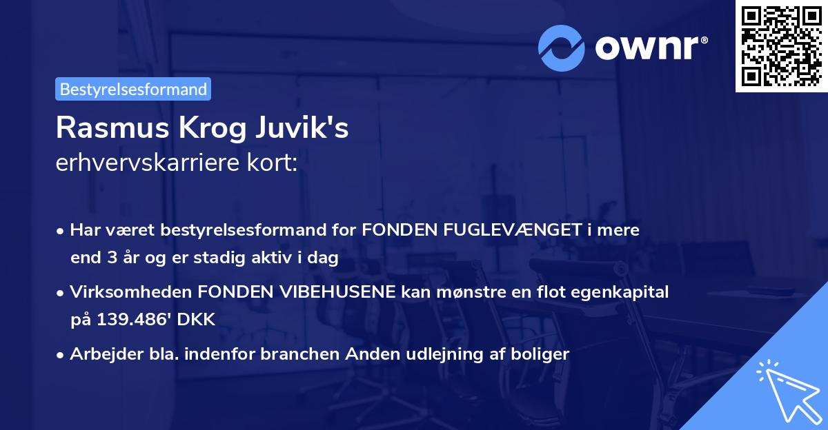 Rasmus Krog Juvik's erhvervskarriere kort