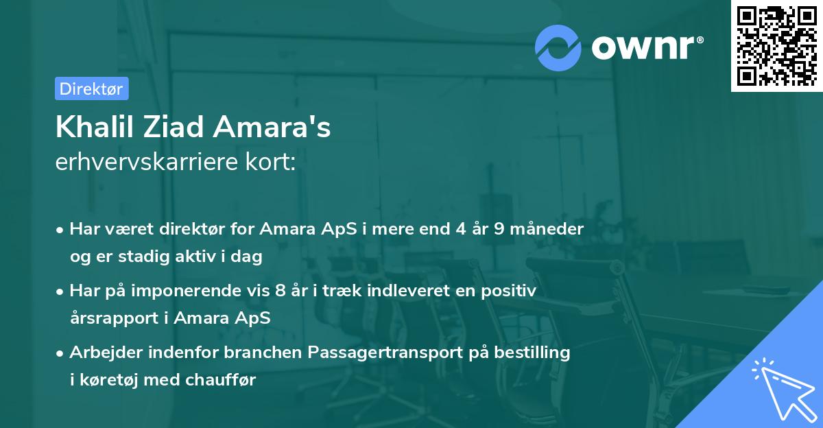 Khalil Ziad Amara's erhvervskarriere kort