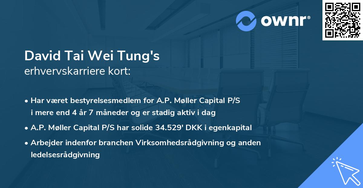 David Tai Wei Tung's erhvervskarriere kort