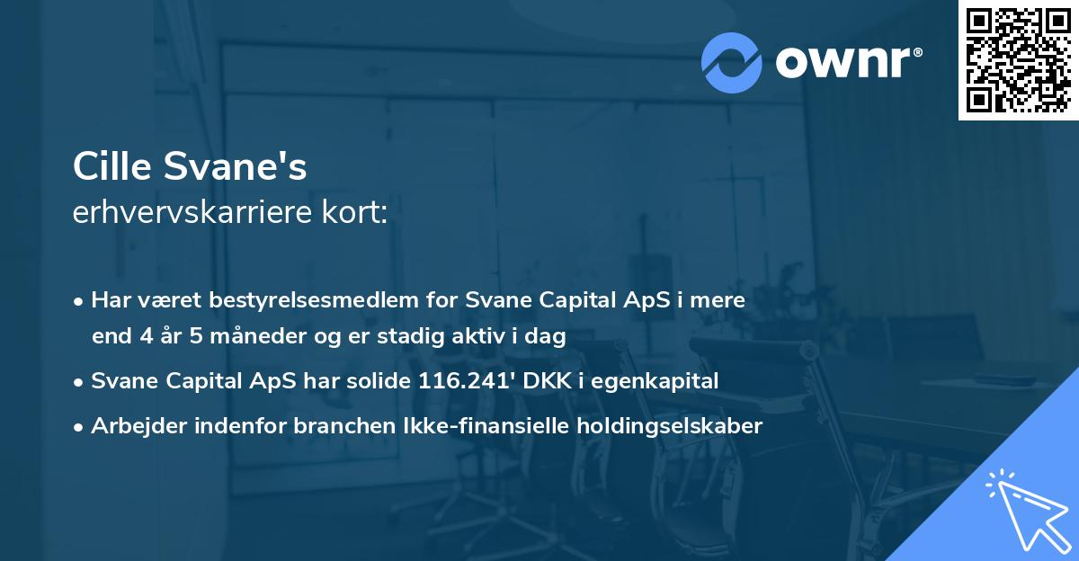 Cille Svane's erhvervskarriere kort
