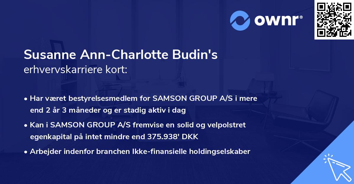 Susanne Ann-Charlotte Budin's erhvervskarriere kort