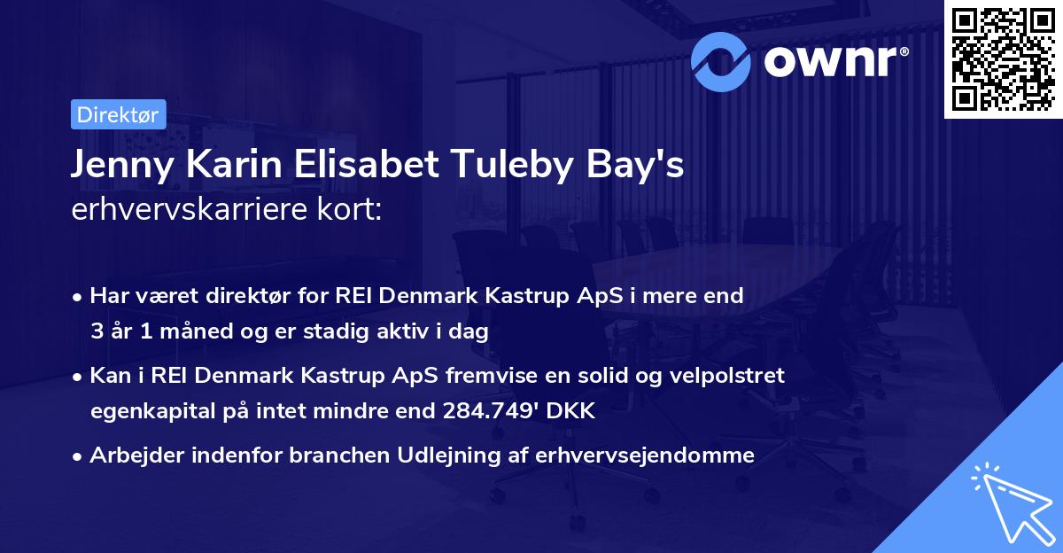 Jenny Karin Elisabet Tuleby Bay's erhvervskarriere kort