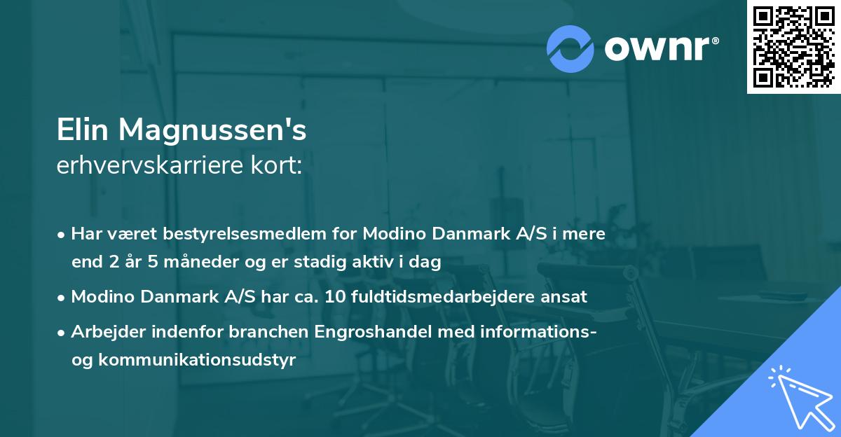 Elin Magnussen's erhvervskarriere kort