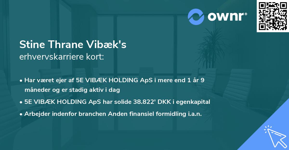 Stine Thrane Vibæk's erhvervskarriere kort