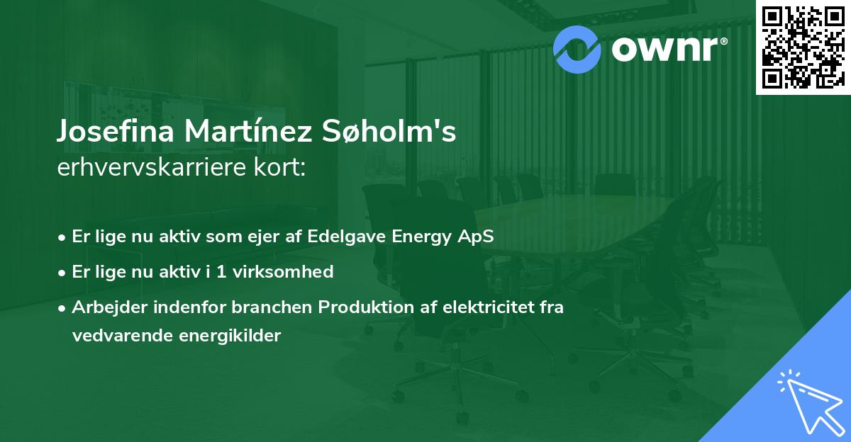 Josefina Martínez Søholm's erhvervskarriere kort