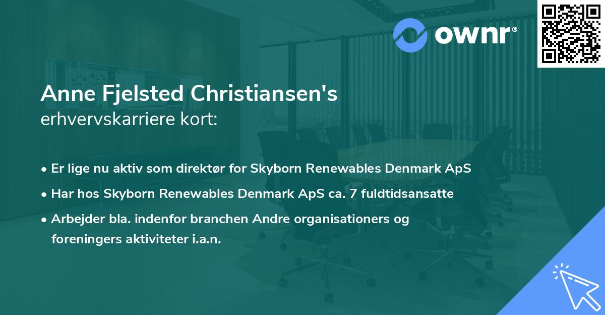 Anne Fjelsted Christiansen's erhvervskarriere kort
