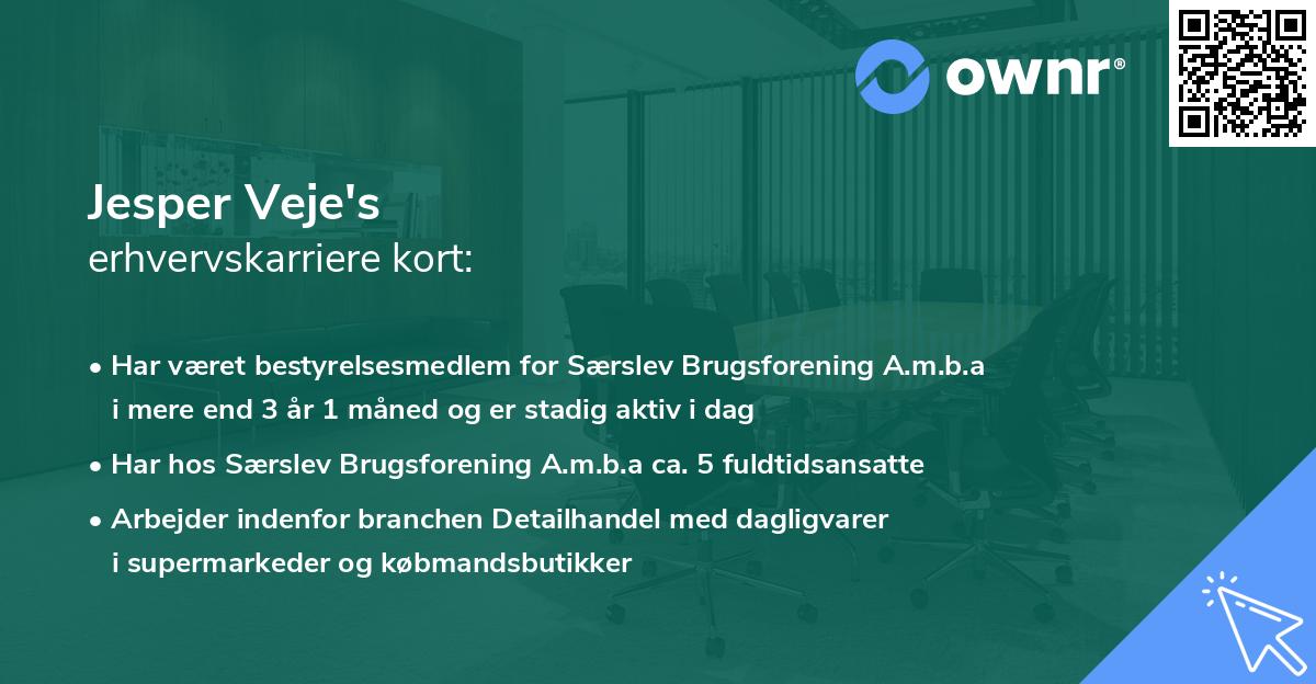 Jesper Veje's erhvervskarriere kort