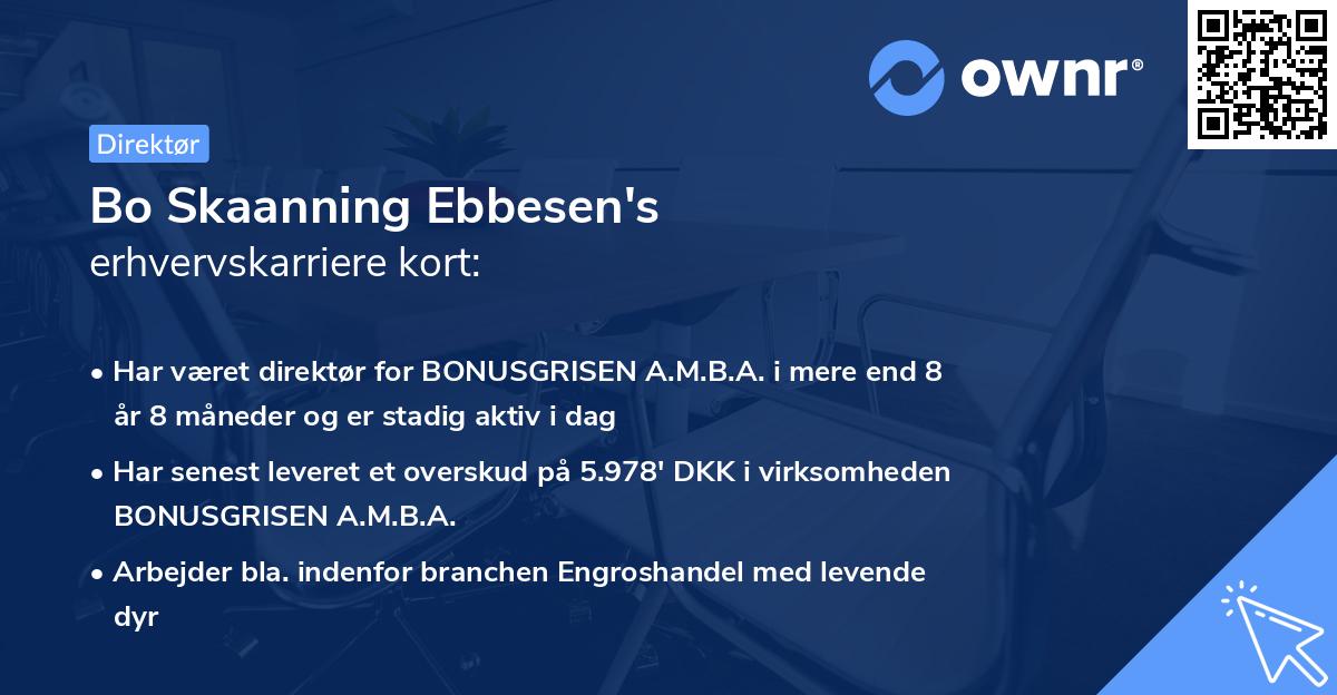 Bo Skaanning Ebbesen's erhvervskarriere kort