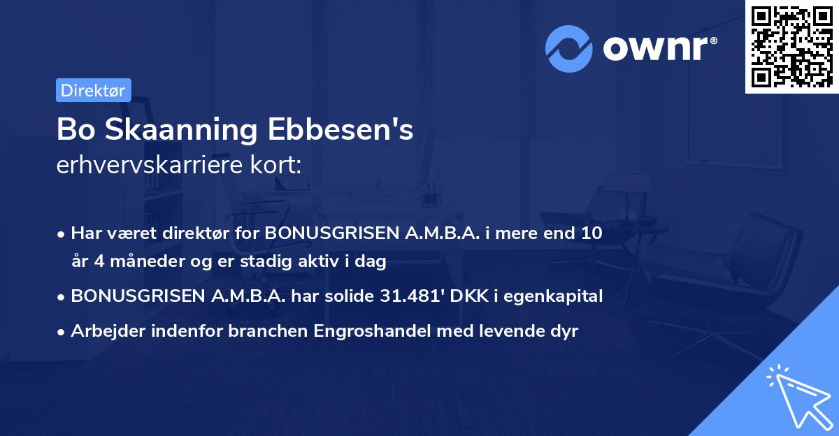 Bo Skaanning Ebbesen's erhvervskarriere kort