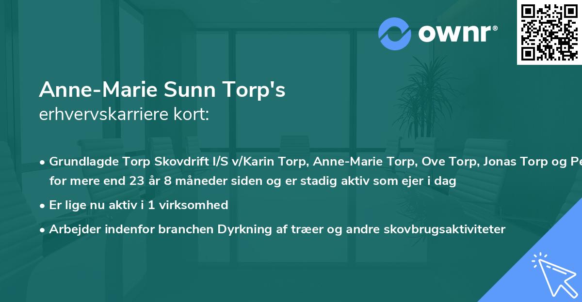 Anne-Marie Sunn Torp's erhvervskarriere kort