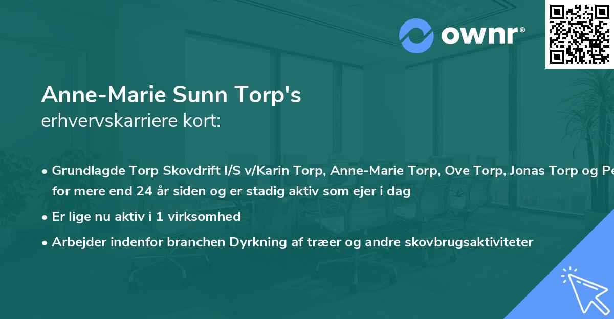 Anne-Marie Sunn Torp's erhvervskarriere kort