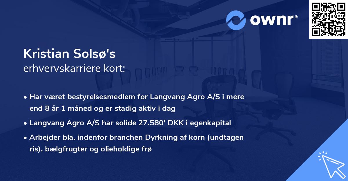 Kristian Solsø's erhvervskarriere kort