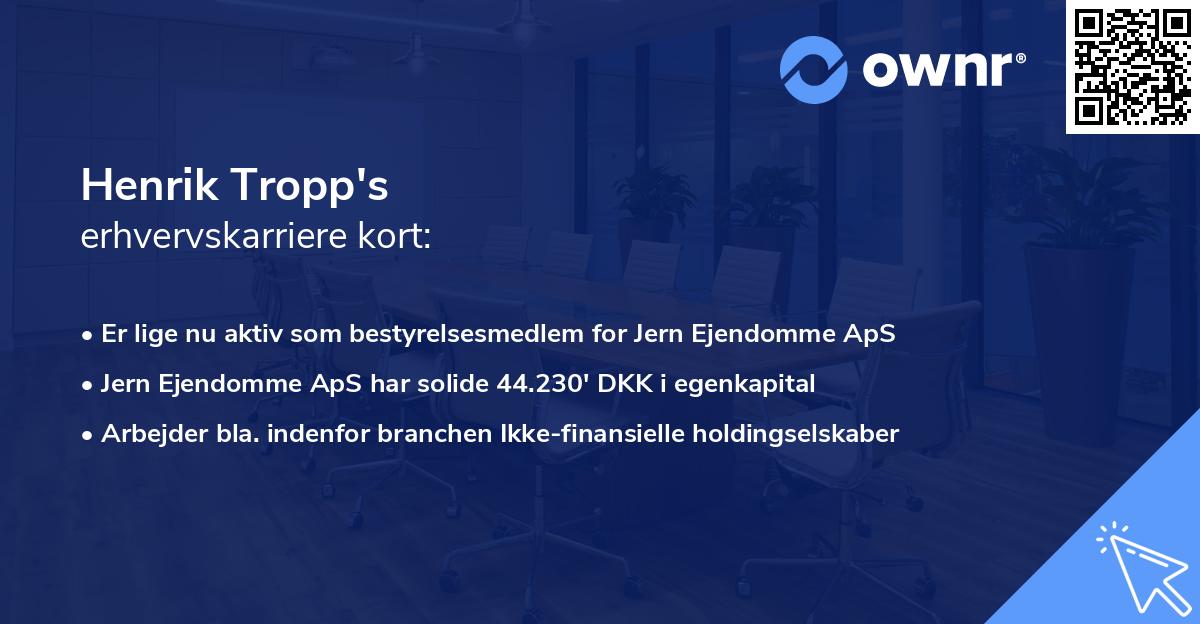 Henrik Tropp's erhvervskarriere kort