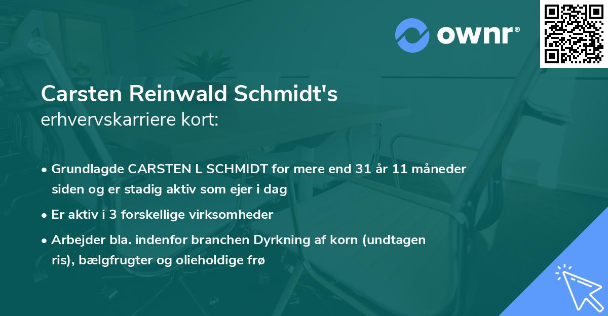 Carsten Reinwald Schmidt's erhvervskarriere kort