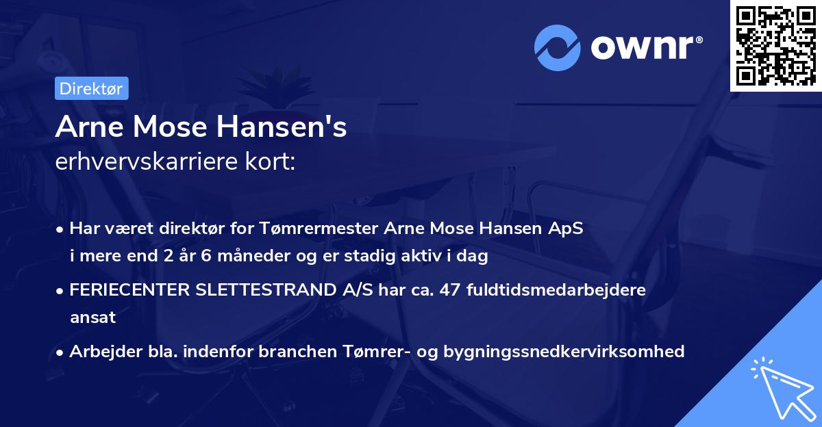 Arne Mose Hansen's erhvervskarriere kort