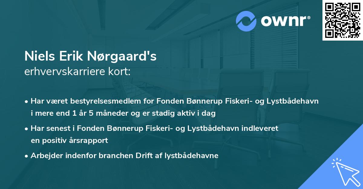 Niels Erik Nørgaard's erhvervskarriere kort