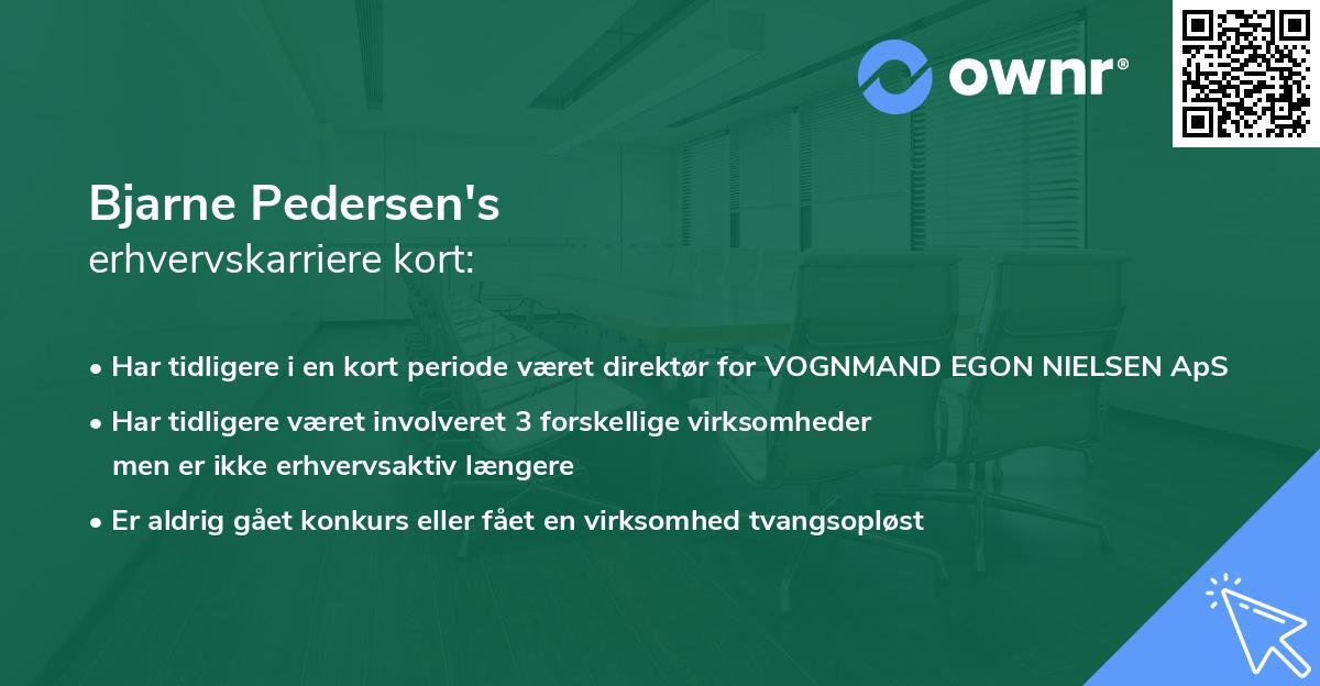 Bjarne Pedersen's erhvervskarriere kort