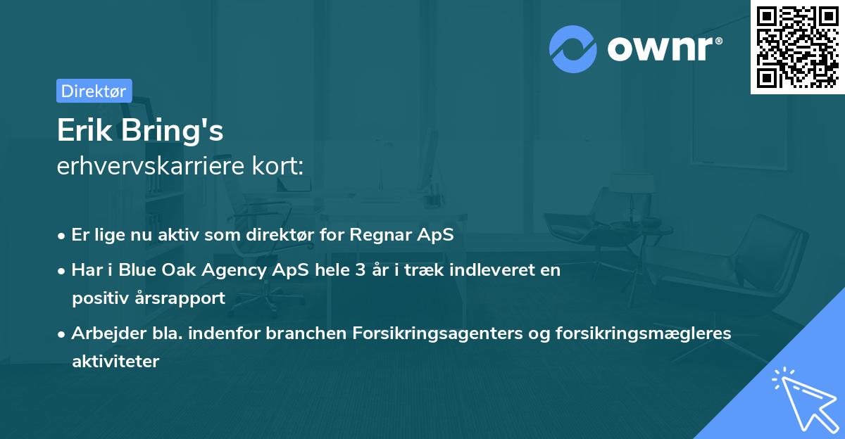 Erik Bring's erhvervskarriere kort