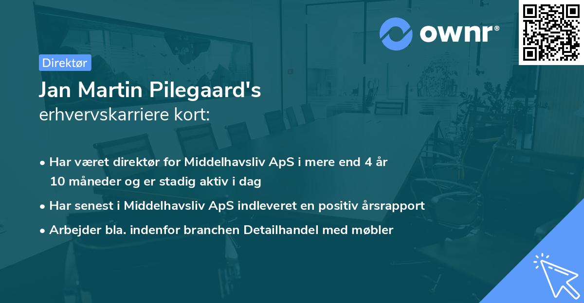Jan Martin Pilegaard's erhvervskarriere kort