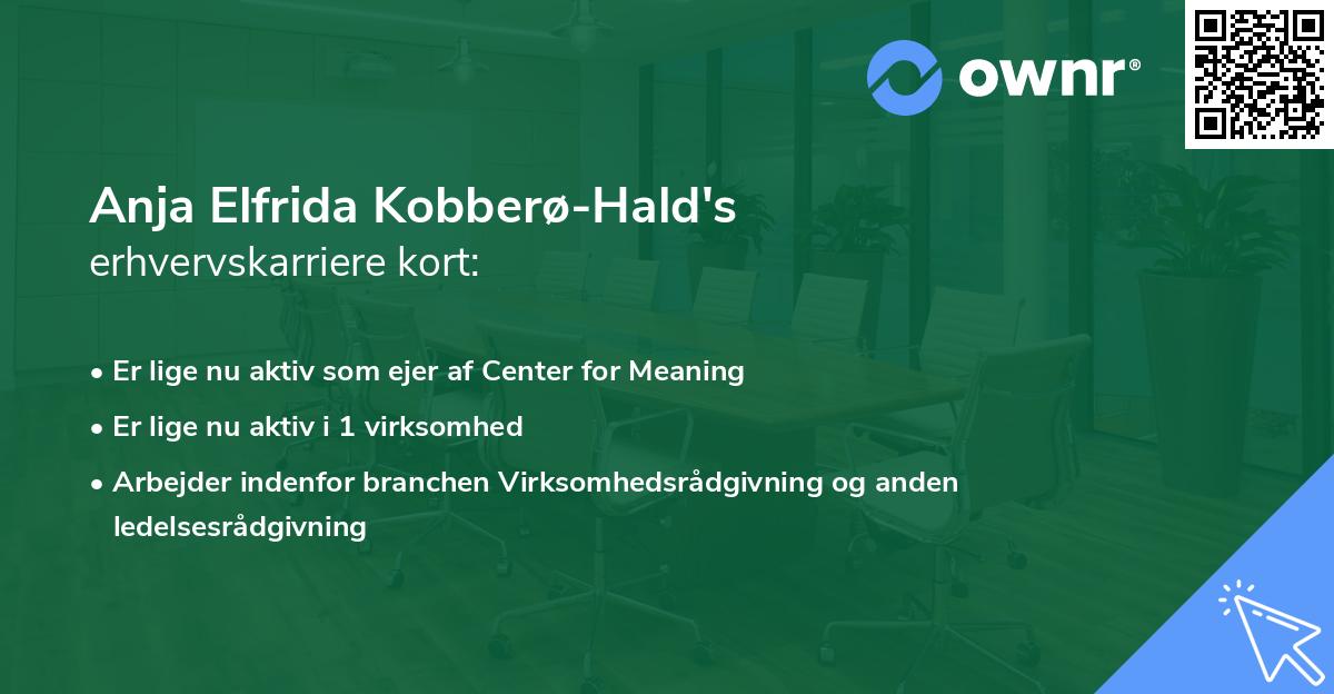 Anja Elfrida Kobberø-Hald's erhvervskarriere kort