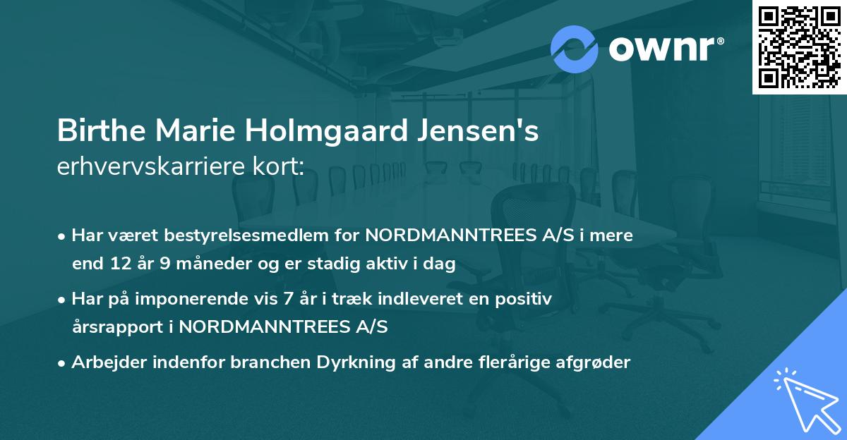 Birthe Marie Holmgaard Jensen's erhvervskarriere kort