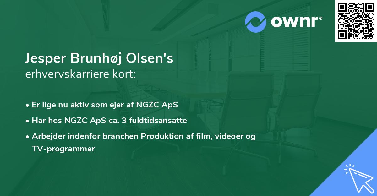 Jesper Brunhøj Olsen's erhvervskarriere kort