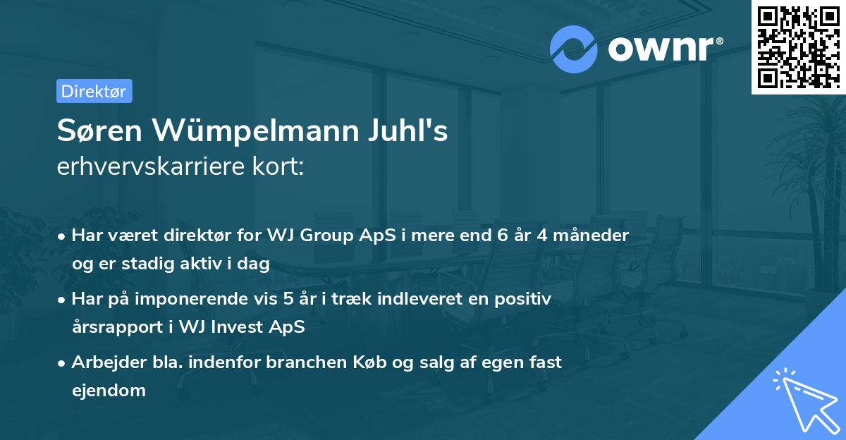 Søren Wümpelmann Juhl's erhvervskarriere kort