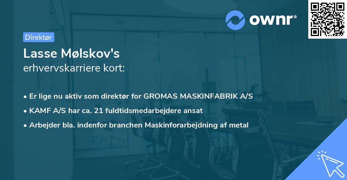 Lasse Mølskov's erhvervskarriere kort
