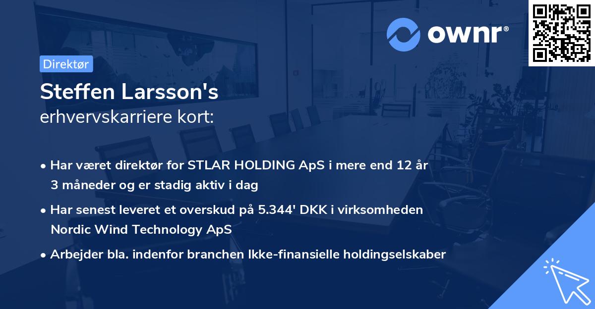 Steffen Larsson's erhvervskarriere kort