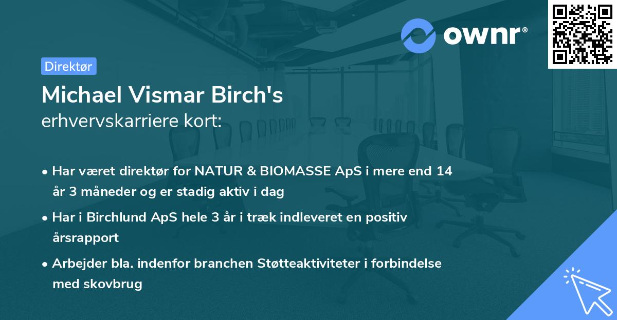 Michael Vismar Birch's erhvervskarriere kort