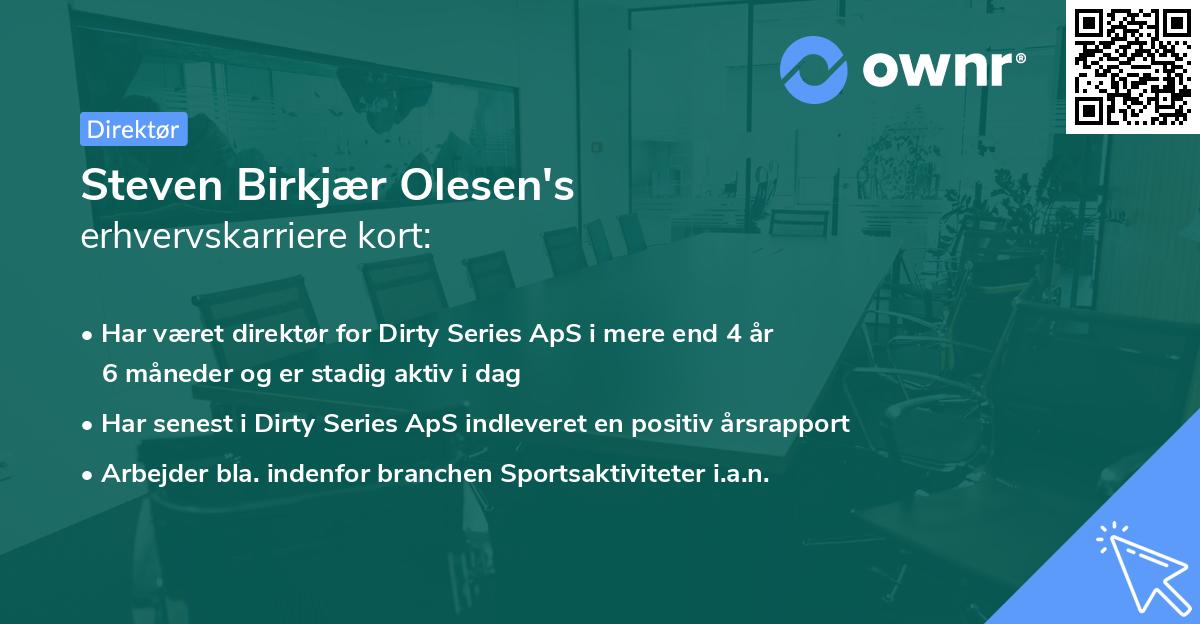 Steven Birkjær Olesen's erhvervskarriere kort