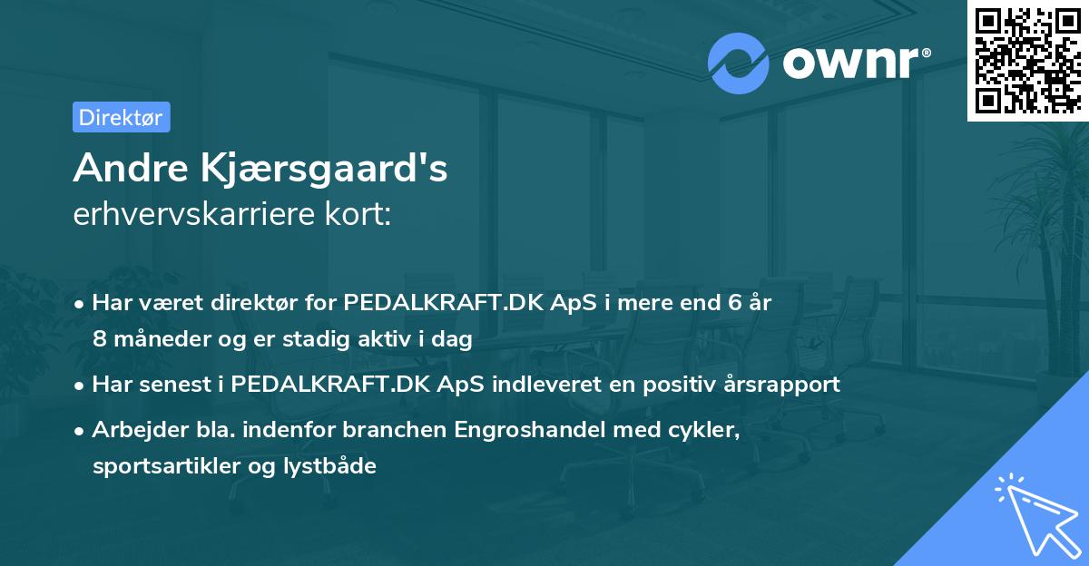 Andre Kjærsgaard's erhvervskarriere kort