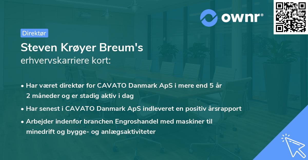 Steven Krøyer Breum's erhvervskarriere kort