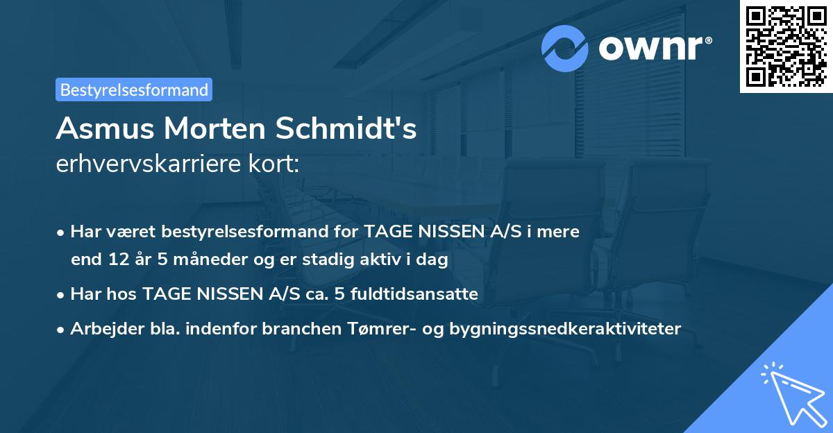 Asmus Morten Schmidt's erhvervskarriere kort