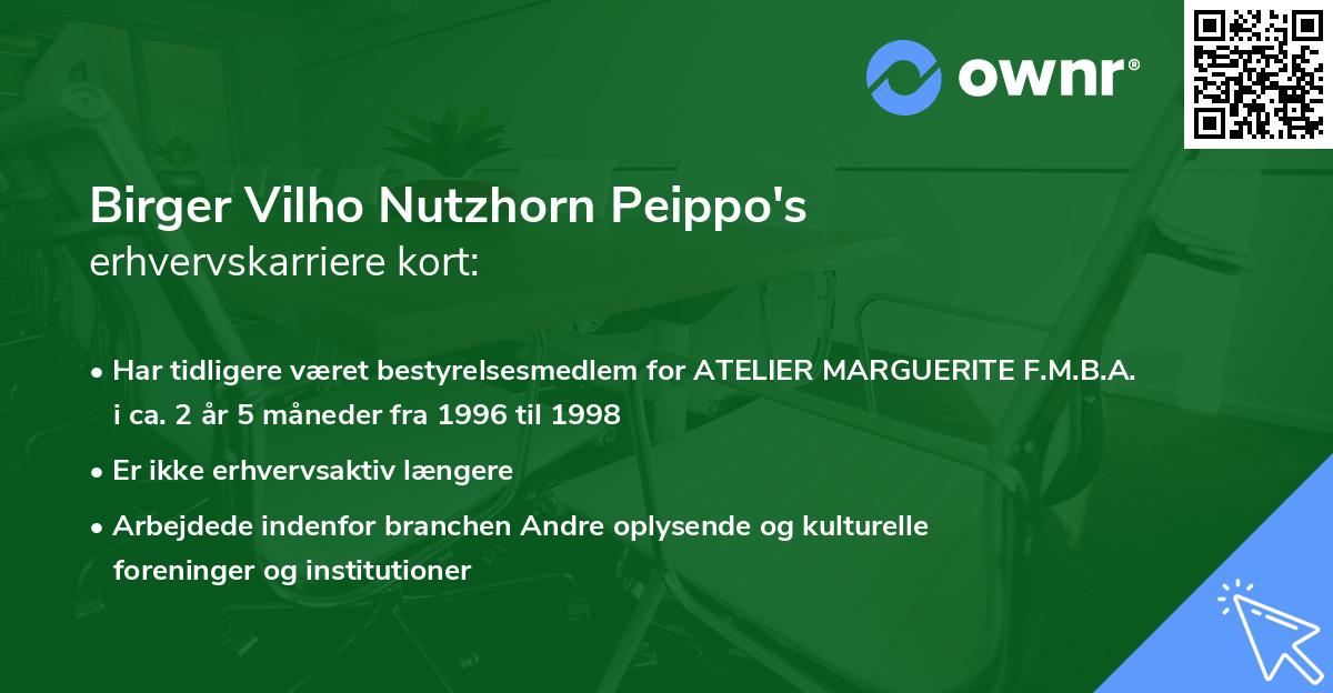 Birger Vilho Nutzhorn Peippo's erhvervskarriere kort
