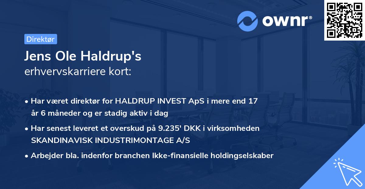 Jens Ole Haldrup's erhvervskarriere kort