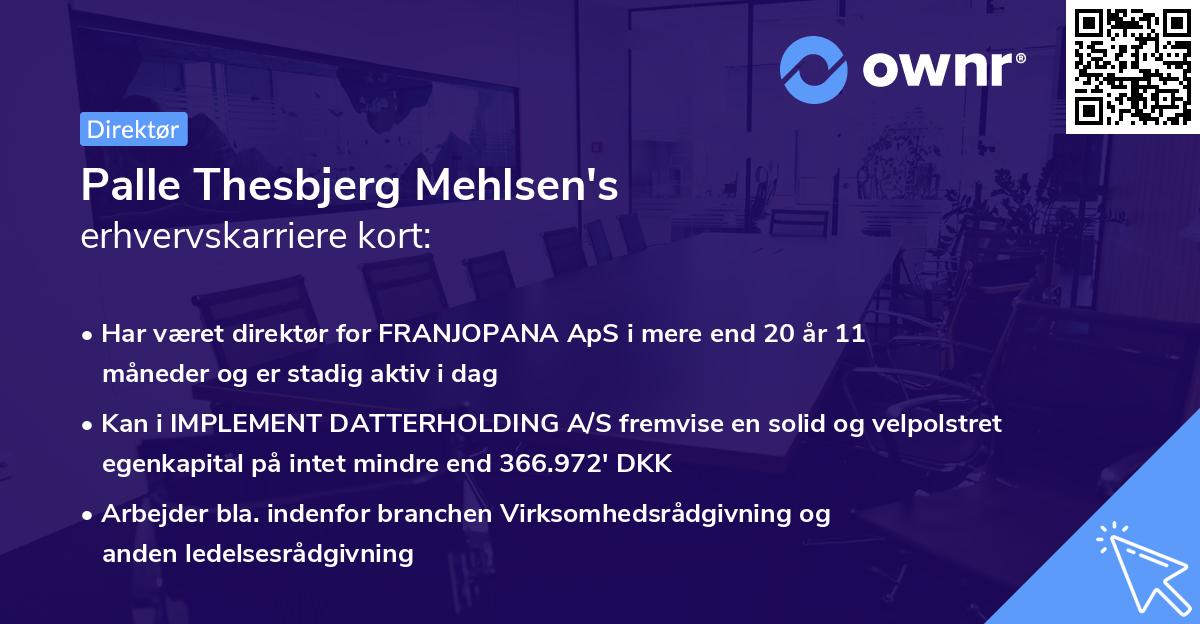 Palle Thesbjerg Mehlsen's erhvervskarriere kort