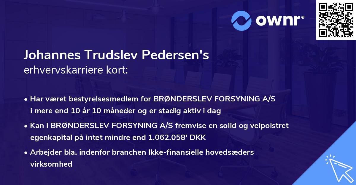 Johannes Trudslev Pedersen's erhvervskarriere kort