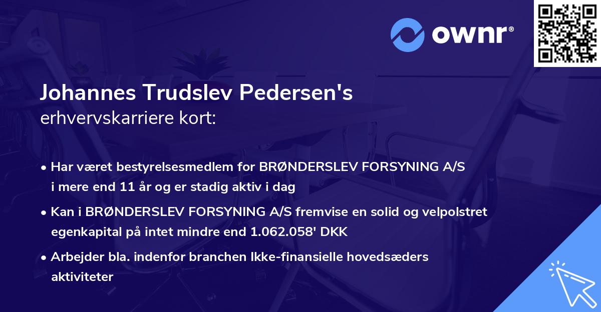 Johannes Trudslev Pedersen's erhvervskarriere kort