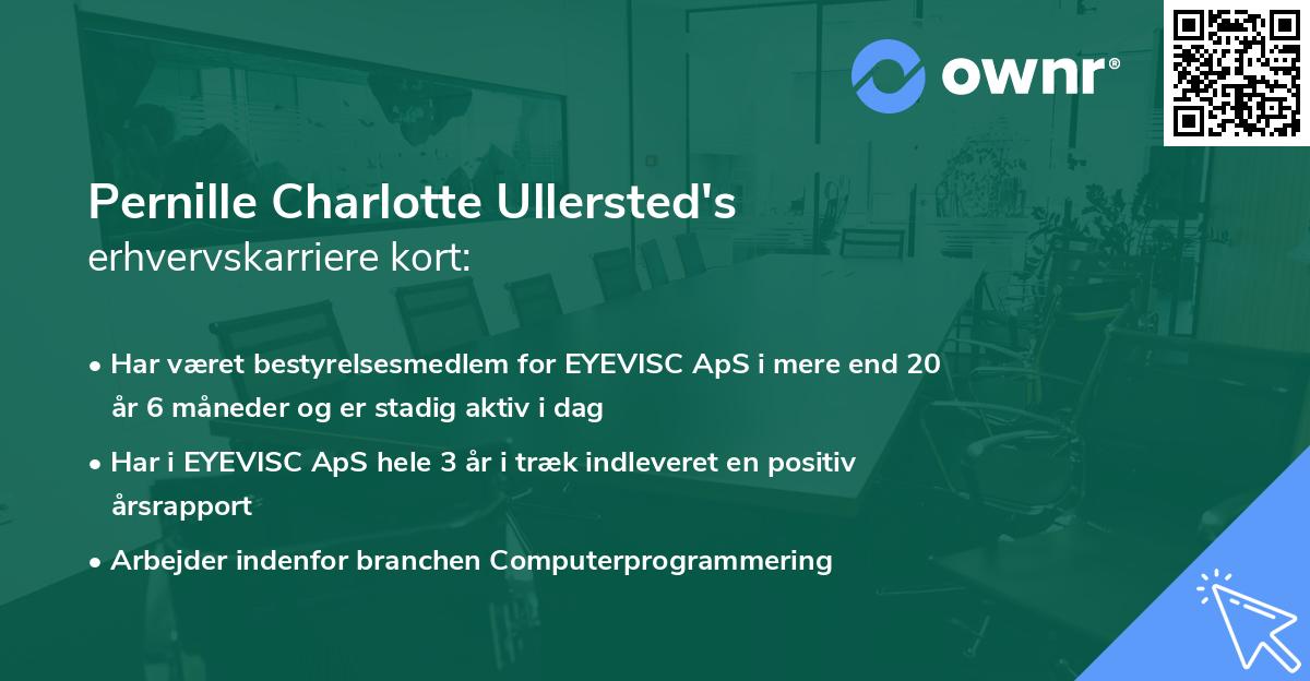 Pernille Charlotte Ullersted's erhvervskarriere kort