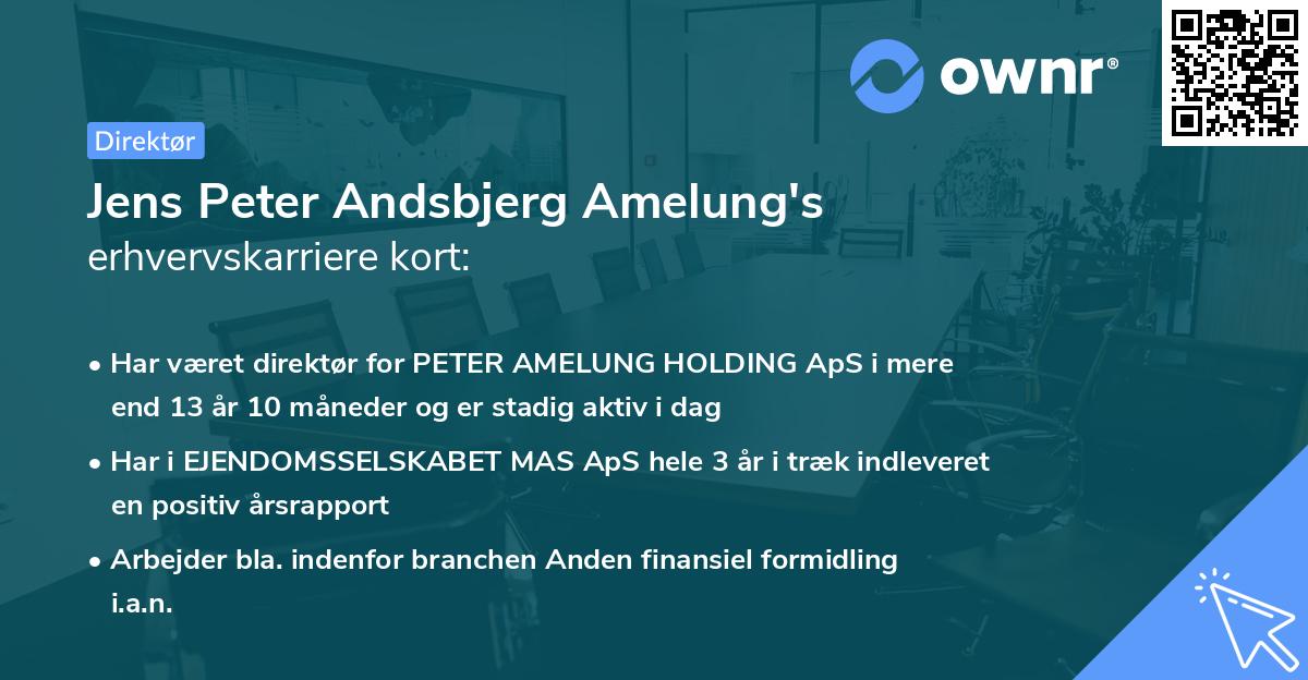 Jens Peter Andsbjerg Amelung's erhvervskarriere kort