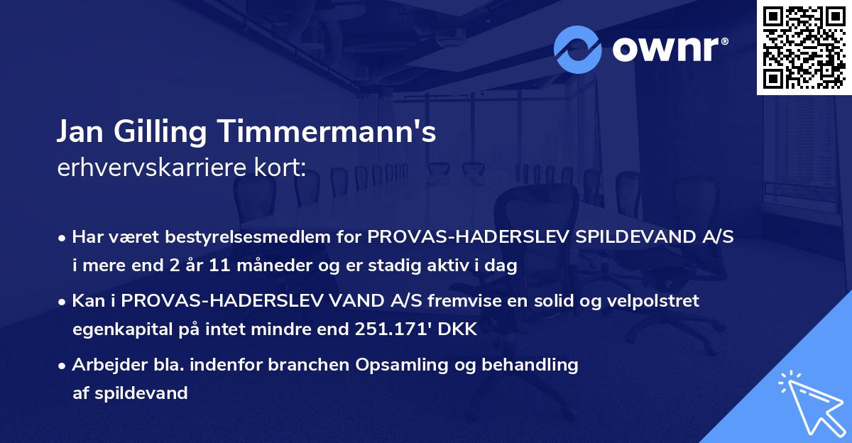 Jan Gilling Timmermann's erhvervskarriere kort