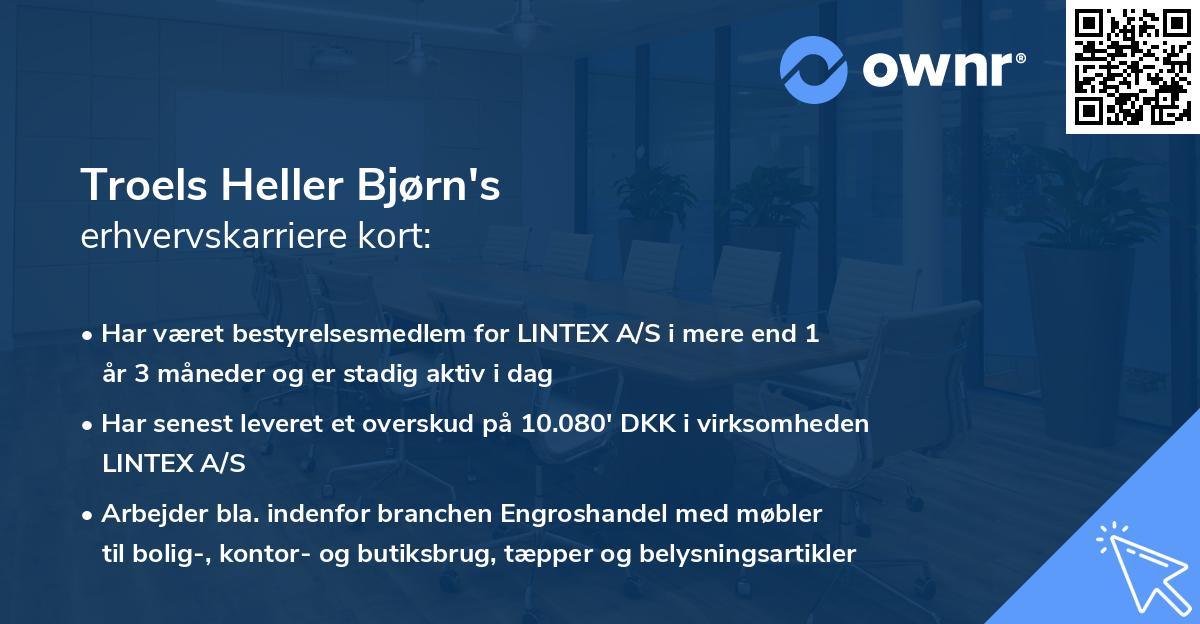 Troels Heller Bjørn's erhvervskarriere kort