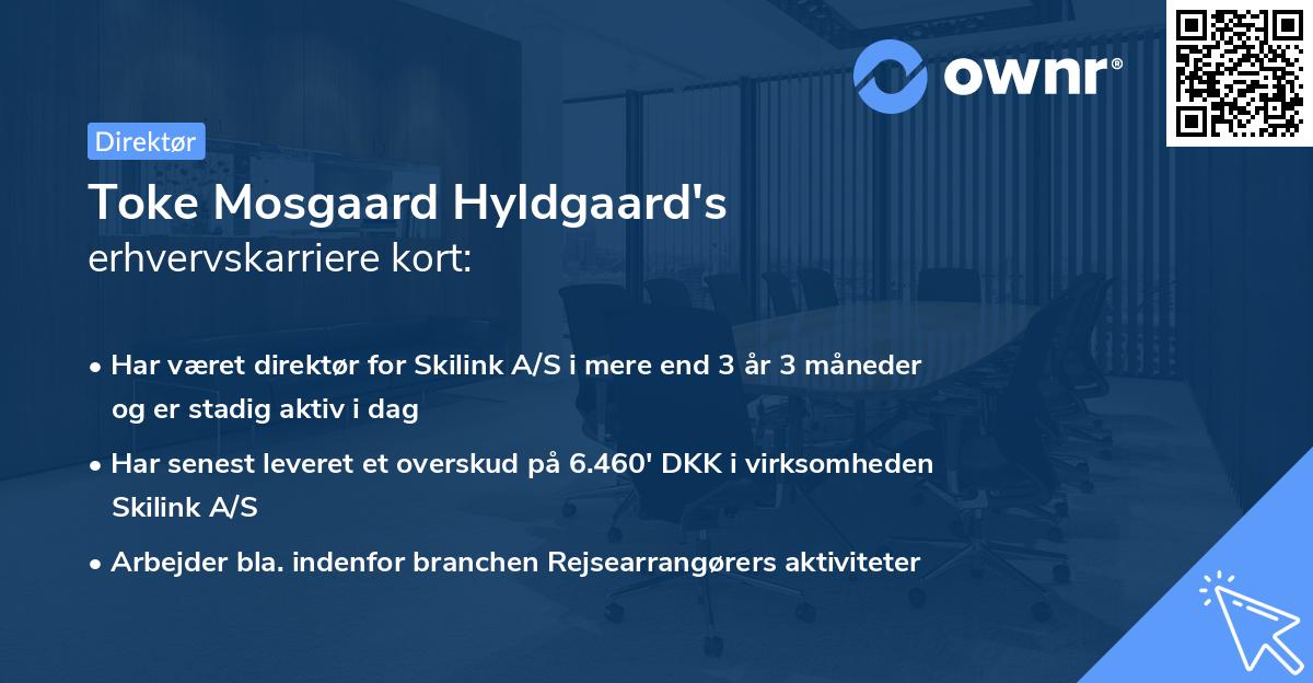 Toke Mosgaard Hyldgaard's erhvervskarriere kort