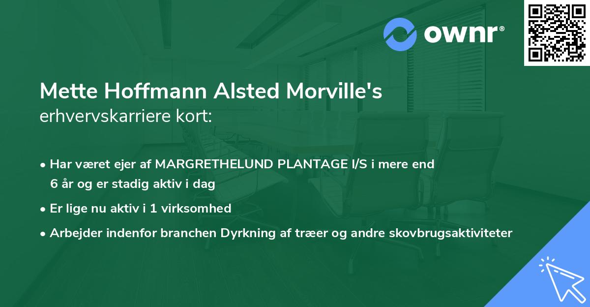 Mette Hoffmann Alsted Morville's erhvervskarriere kort