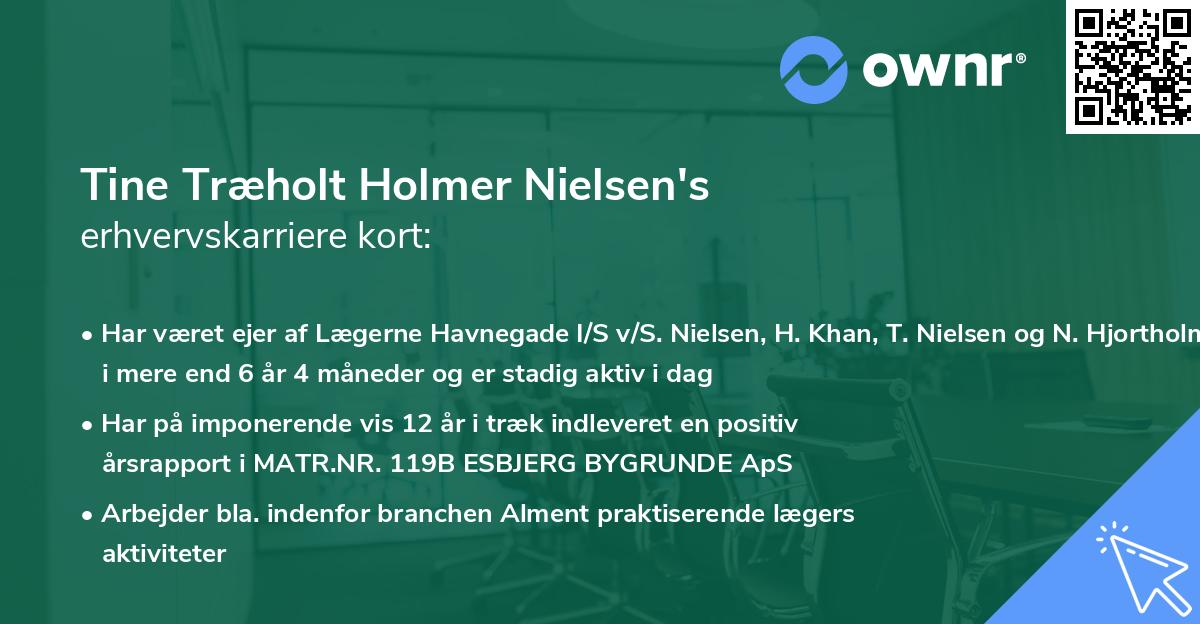 Tine Træholt Holmer Nielsen's erhvervskarriere kort