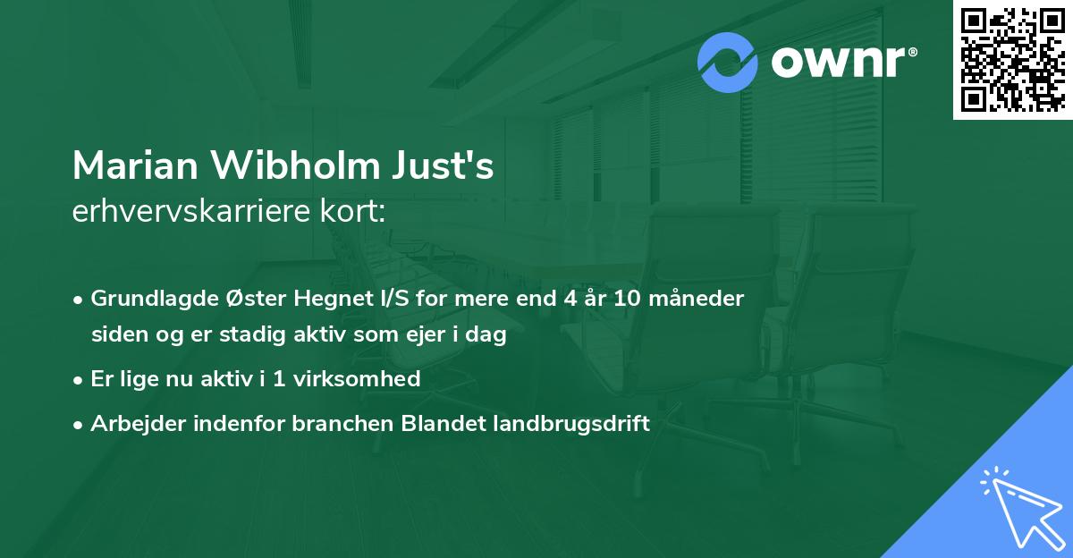 Marian Wibholm Just's erhvervskarriere kort