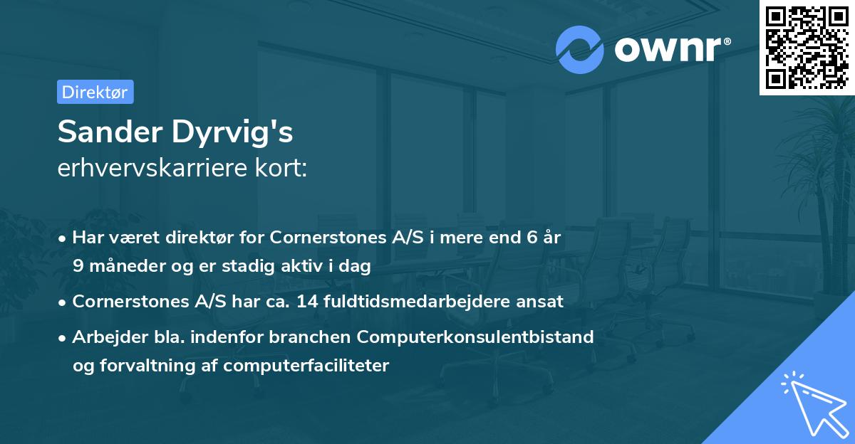 Sander Dyrvig's erhvervskarriere kort