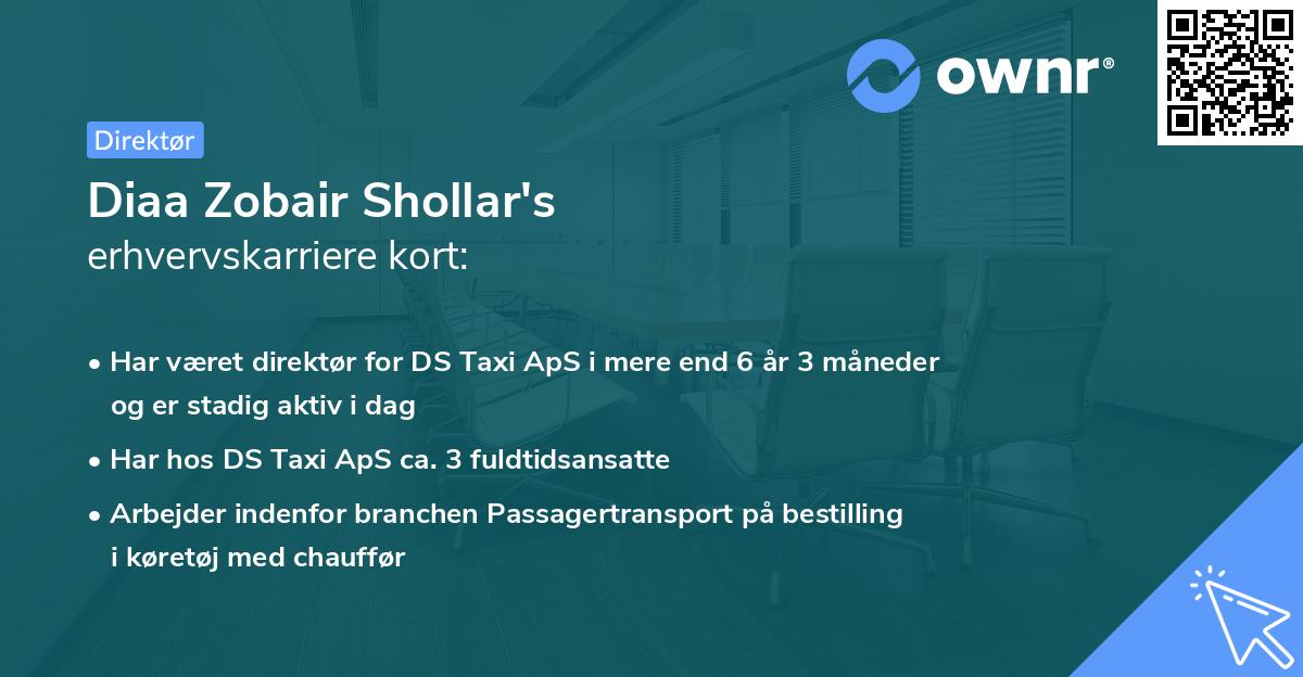 Diaa Zobair Shollar's erhvervskarriere kort