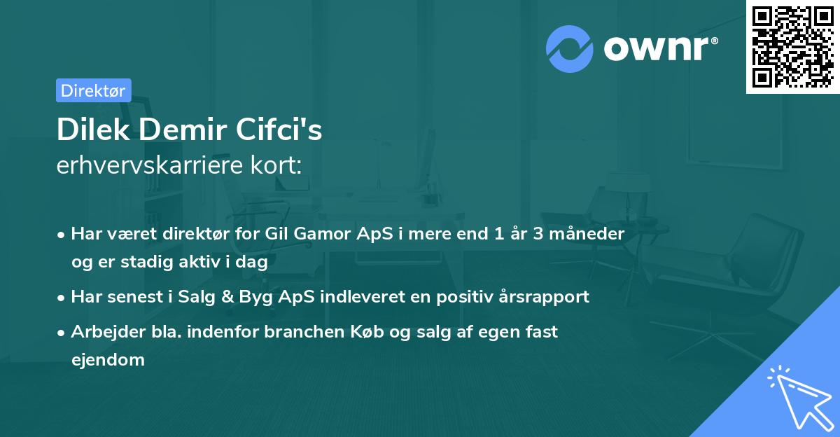 Dilek Demir Cifci's erhvervskarriere kort